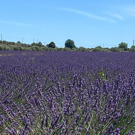 Gite Cocotte Luberon, Forcalquier Pierrerue  Екстер'єр фото