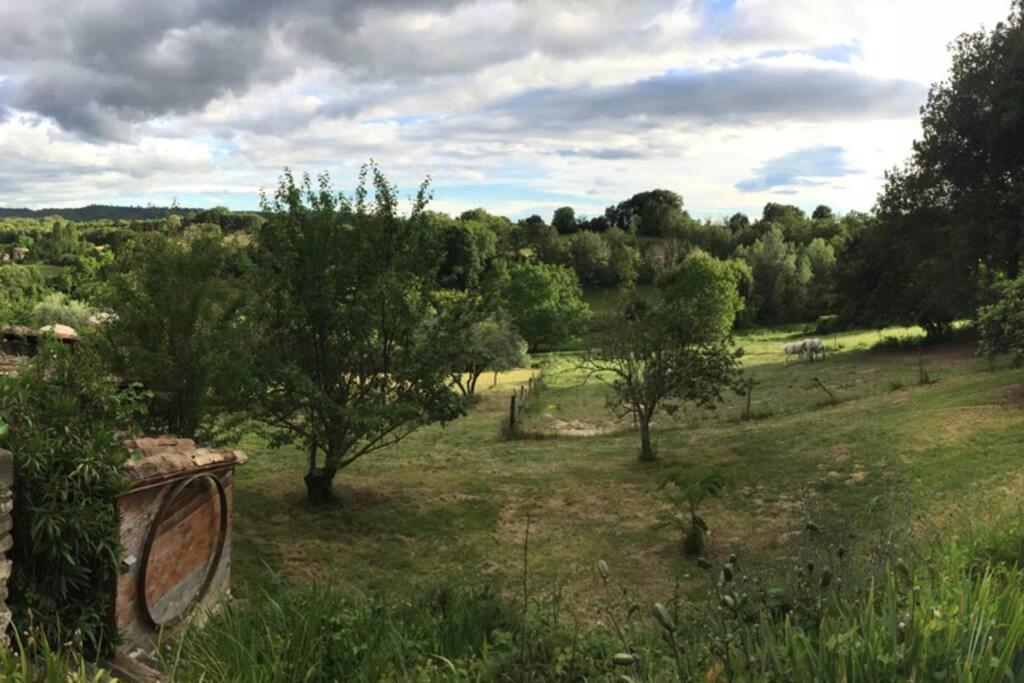 Gite Cocotte Luberon, Forcalquier Pierrerue  Екстер'єр фото
